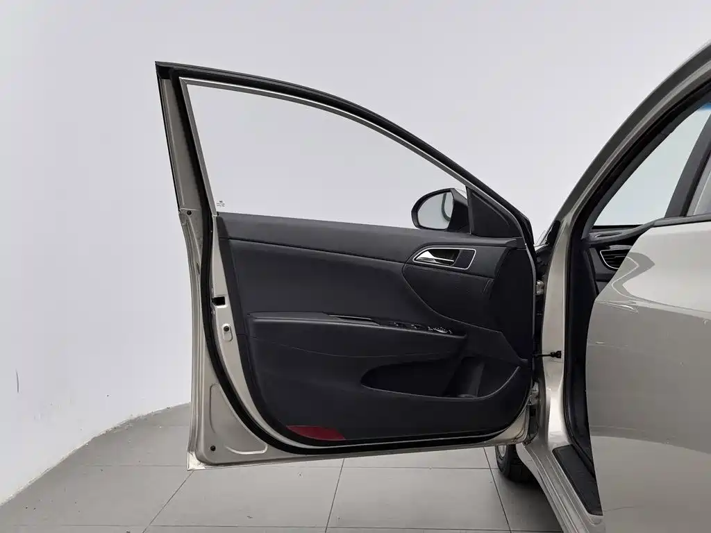 Фото 8 - Hyundai Mistra