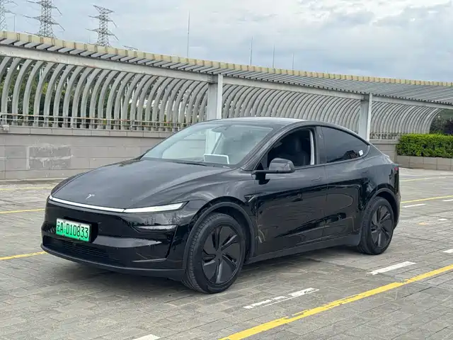 Tesla Model Y 2025 Long Range All-Wheel Drive