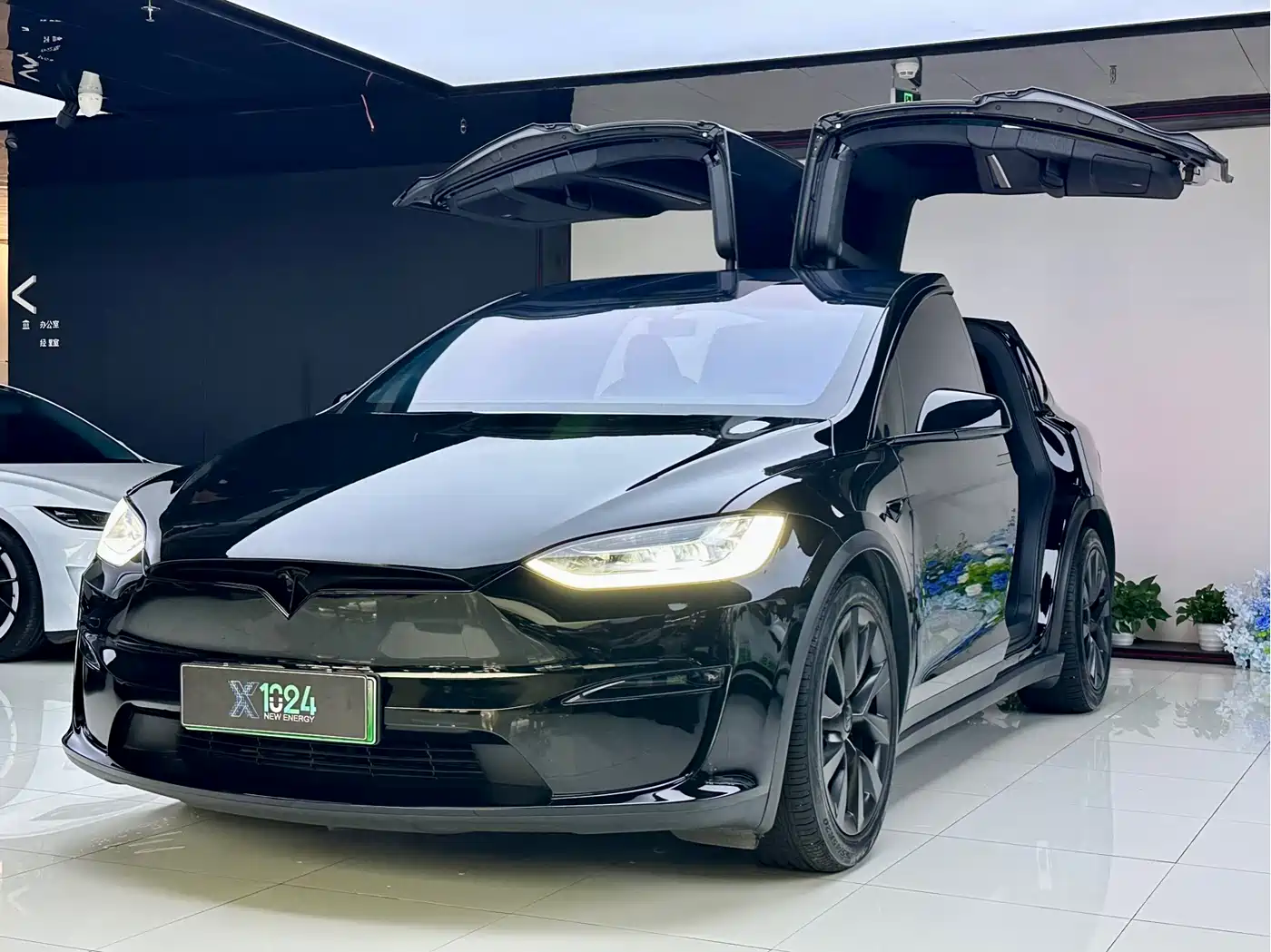 Tesla Model X 2023 Dual Motor All-Wheel Drive Edition
