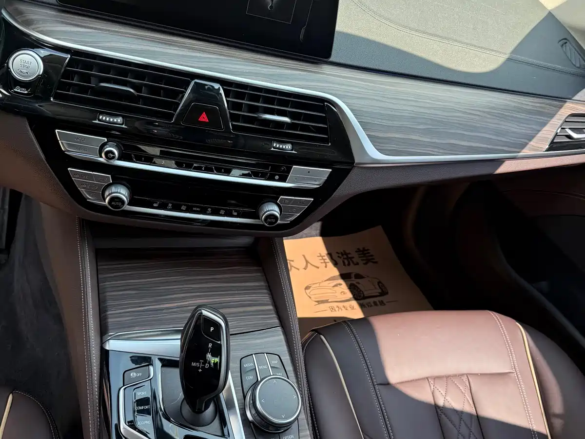 BMW 5 Series 2019 530Li Leading Luxury Package фото 24