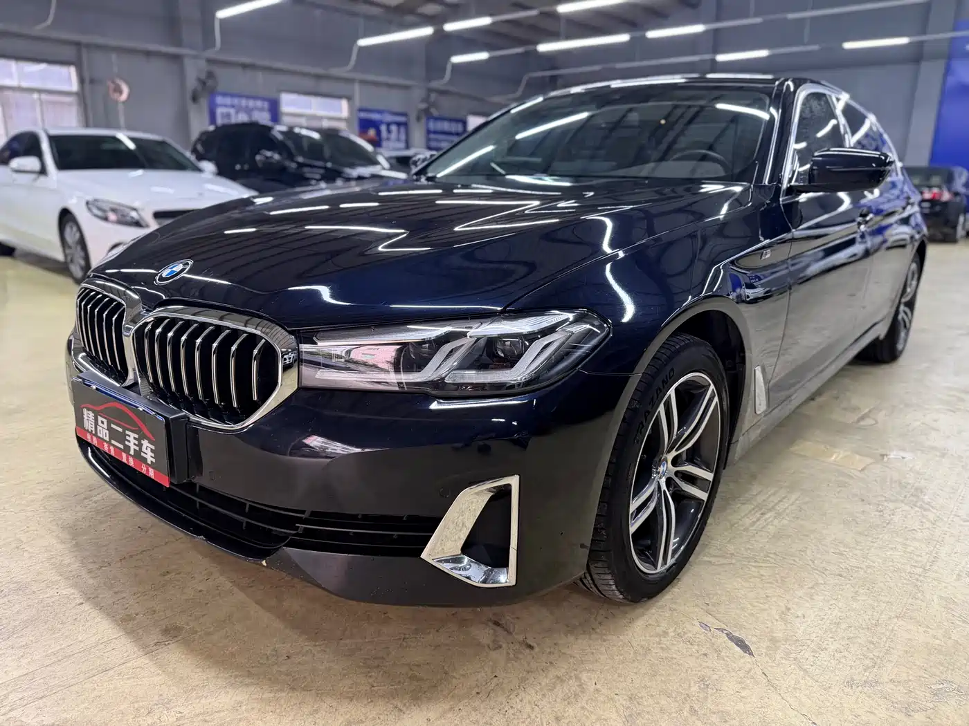 BMW 5 Series 2021 530Li Leading Luxury Package