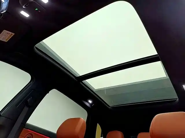 Photo 14 - Hongqi HS6 PHEV