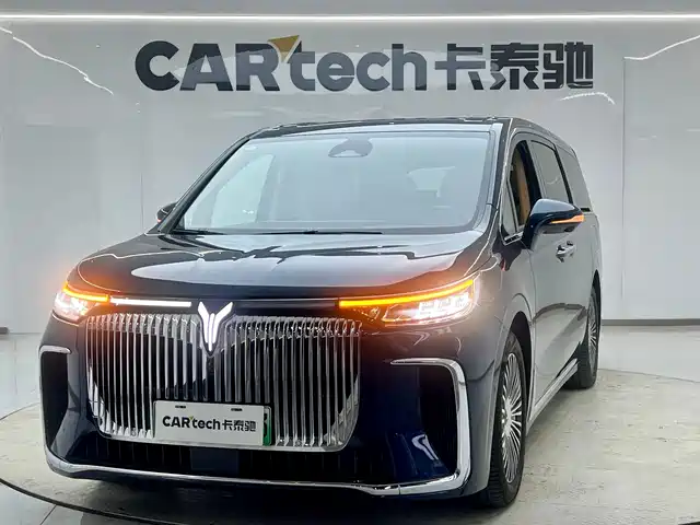 Voyah Auto Voyah Dreamer 2024