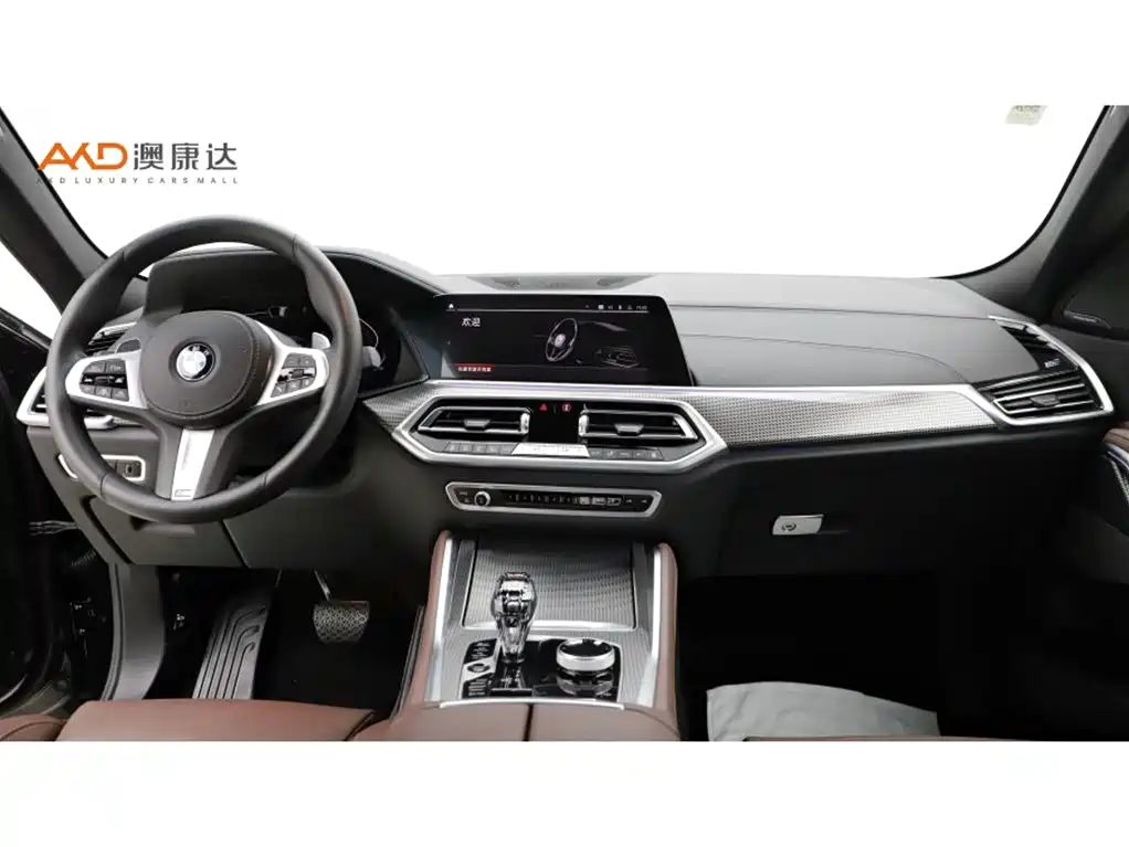 BMW X6 2021 Facelift xDrive40i Premium M Sport Package фото 5