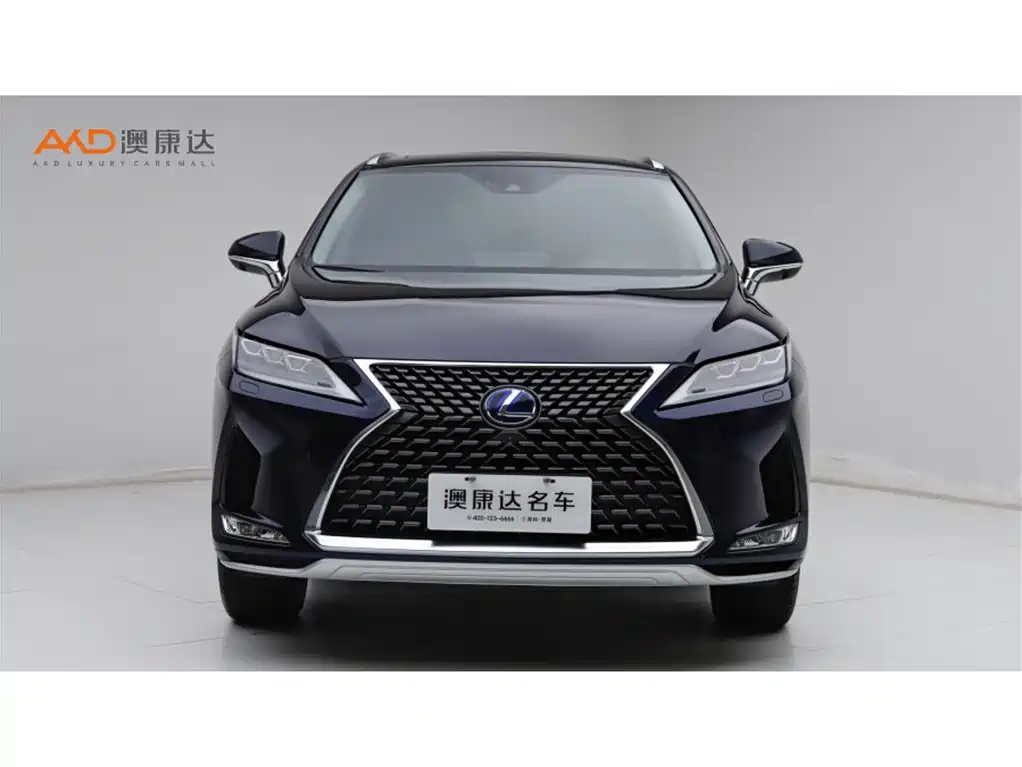 Lexus RX 2020 450h 4WD Elegance Edition China VI фото 2