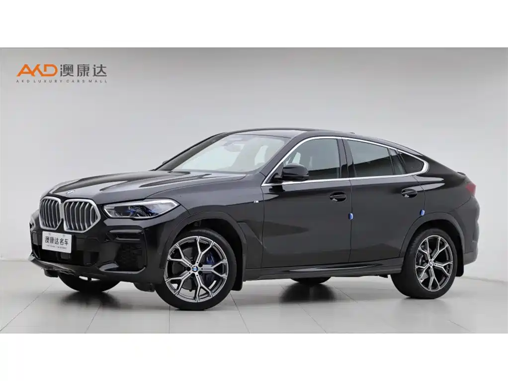 BMW X6 2021 Facelift xDrive40i Premium M Sport Package