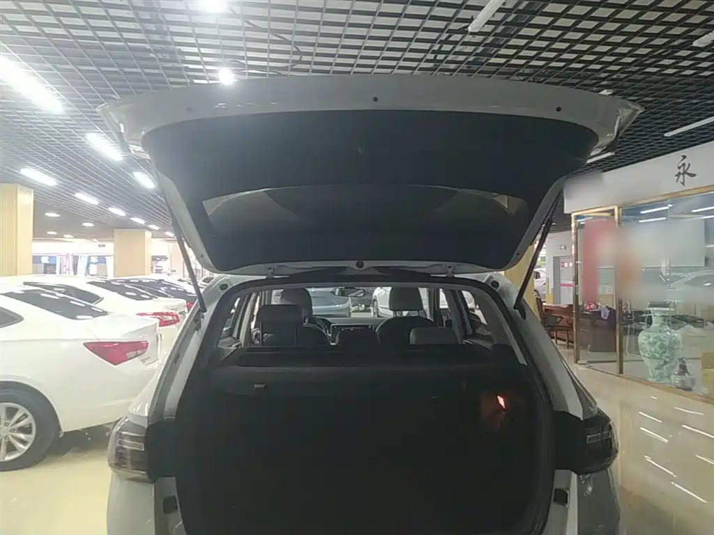 Volkswagen Tharu 2023 300TSI 2WD Bright Moon Edition фото 19