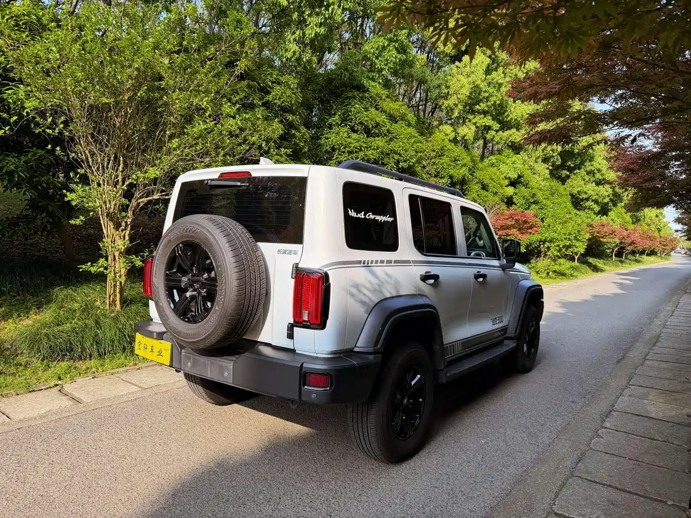 Tank 300 2023 Off-Road Edition 2.0T Conqueror фото 3