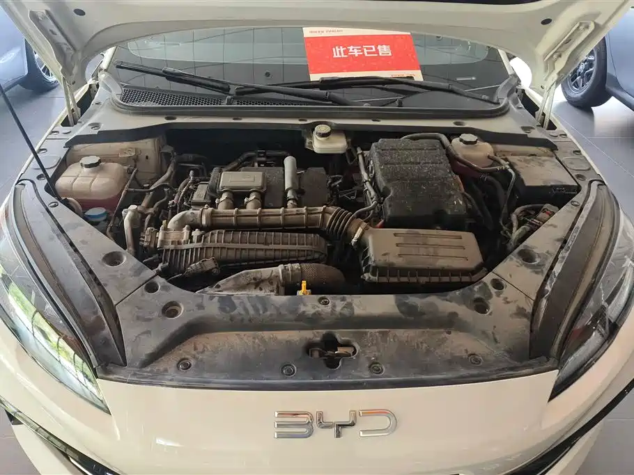 BYD Seal 06 New Energy 2024 DM-i 120KM Premium фото 10