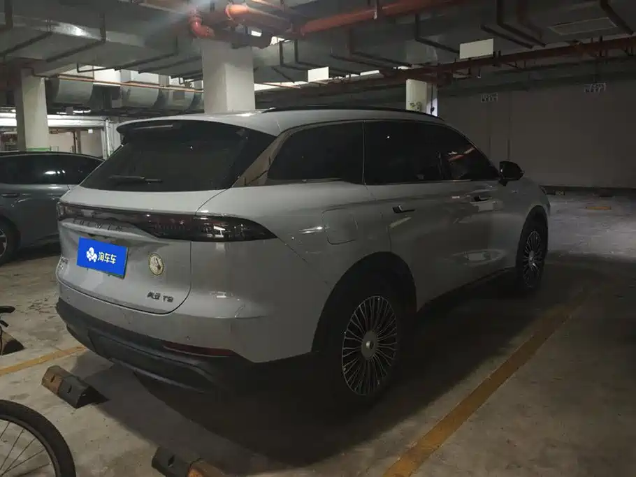 Chery Fengyun Fengyun T9 2024 2024 120 Long Range Luxury 5-seater NMC