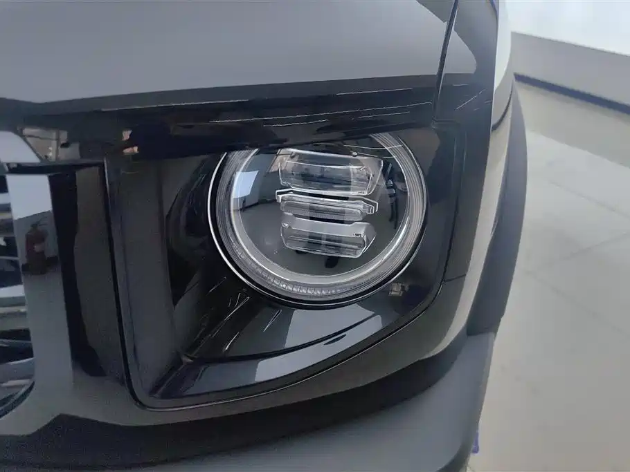 Haval Big Dog 2022 1.5T DCT FWD Labrador Edition фото 5