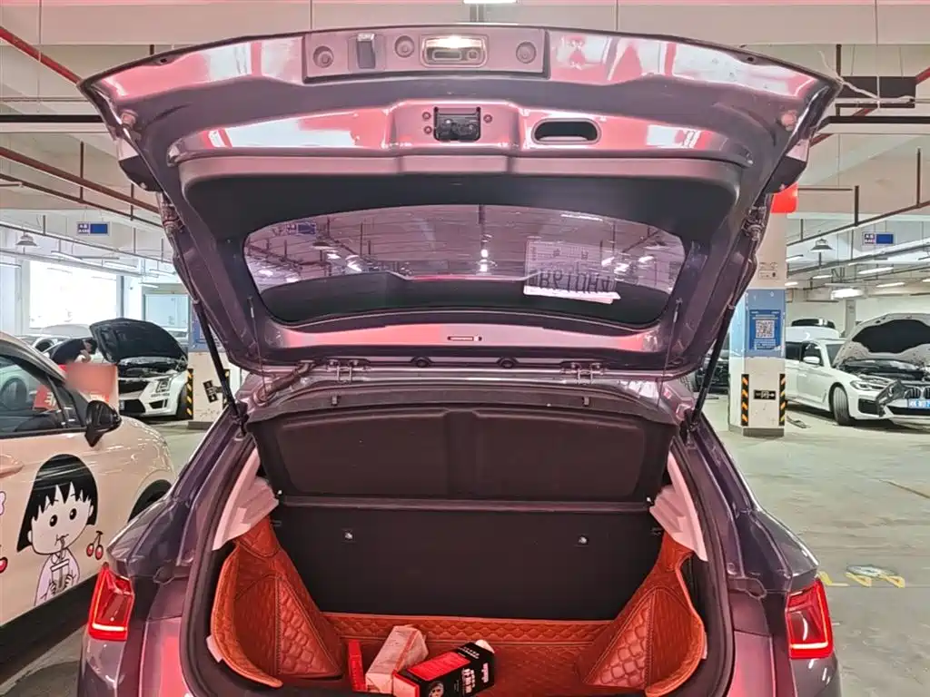 BYD e2 2021 Luxury Edition фото 19