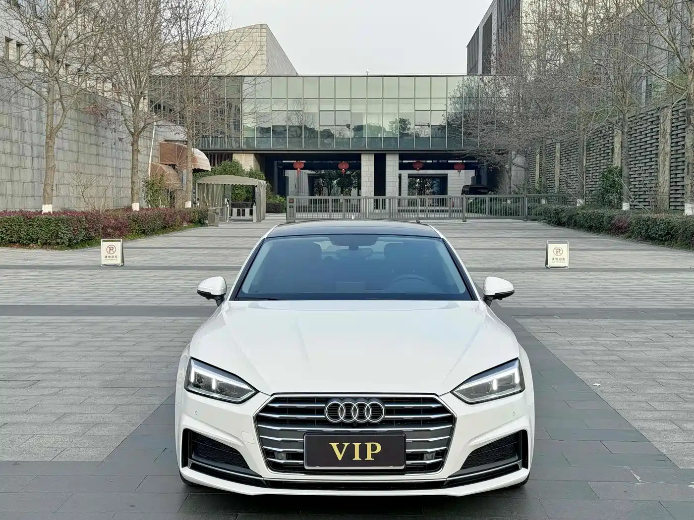 Audi A5 (Import) 2019 Sportback 40 TFSI Fashion фото 2
