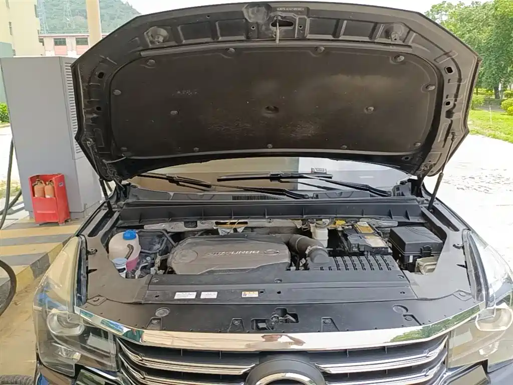GAC Trumpchi Trumpchi GS7 2017 280T 2WD Luxury фото 20