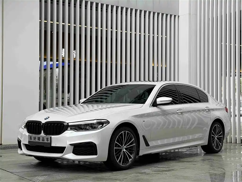 BMW 5 Series 2020 530Li Exclusive M Sport Package