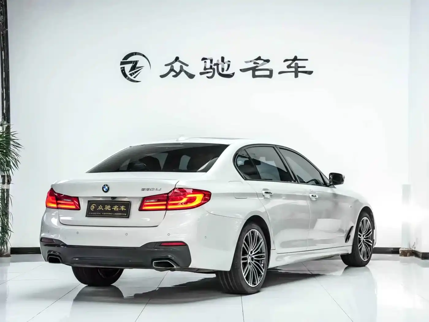 BMW 5 Series 2018 530Li Leading M Sport Package фото 10