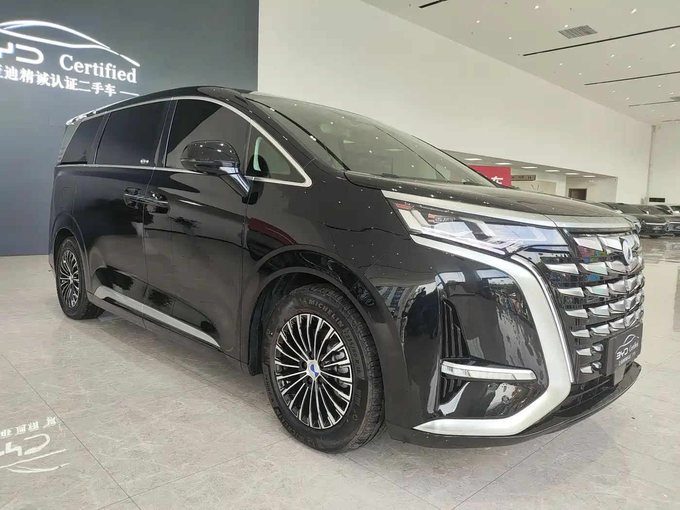 Denza D9 2024 DM-i 980 AWD Prestige фото 3