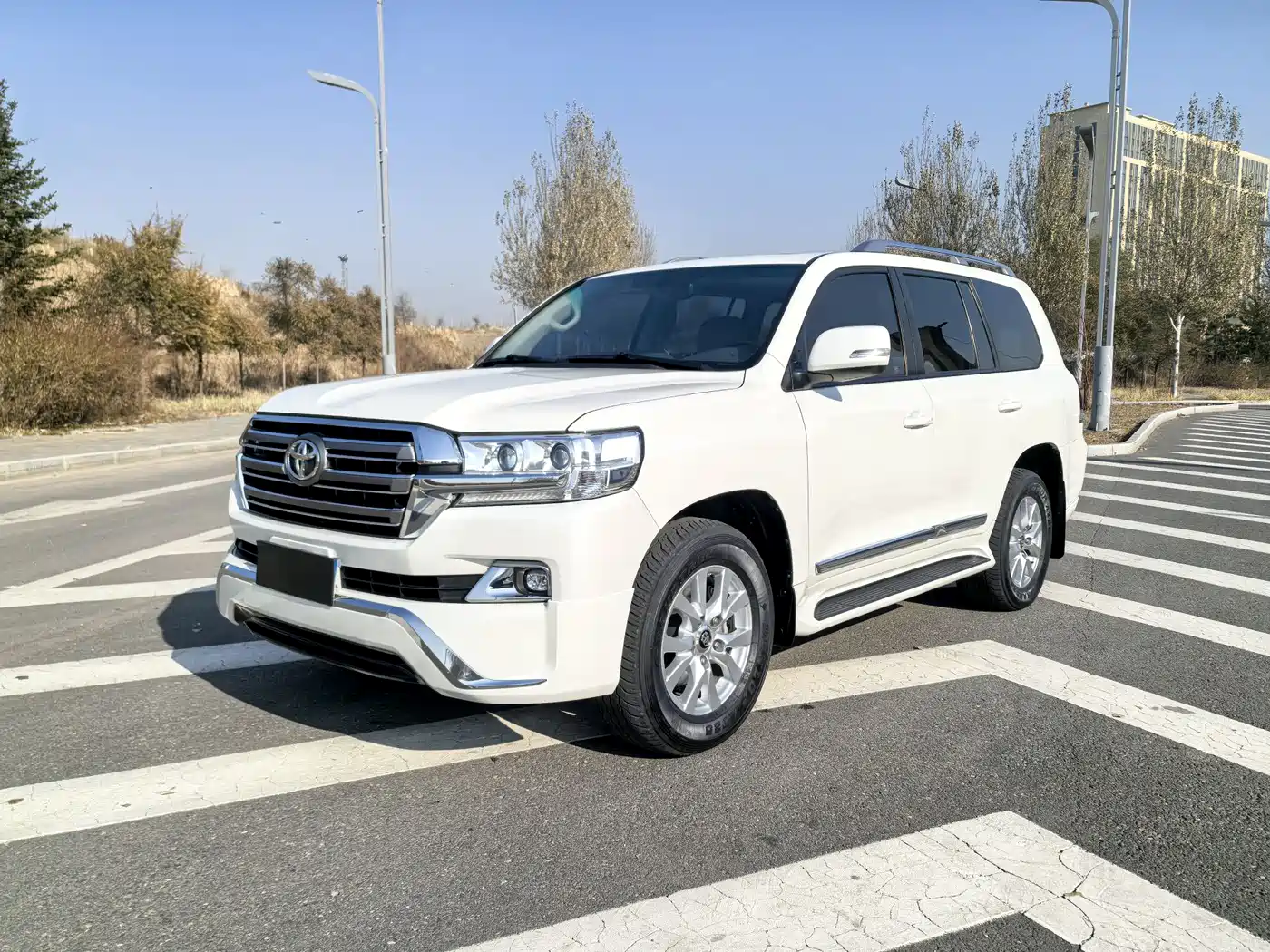 Toyota Land Cruiser (Import)