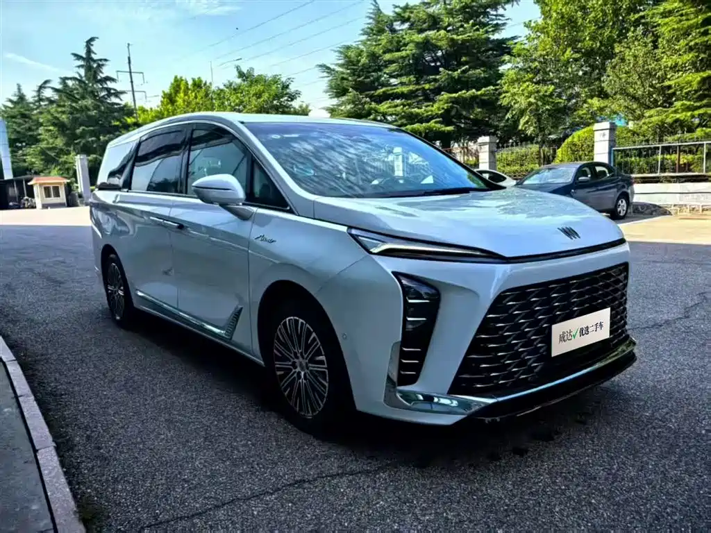 BUICK GL8 NEW ENERGY