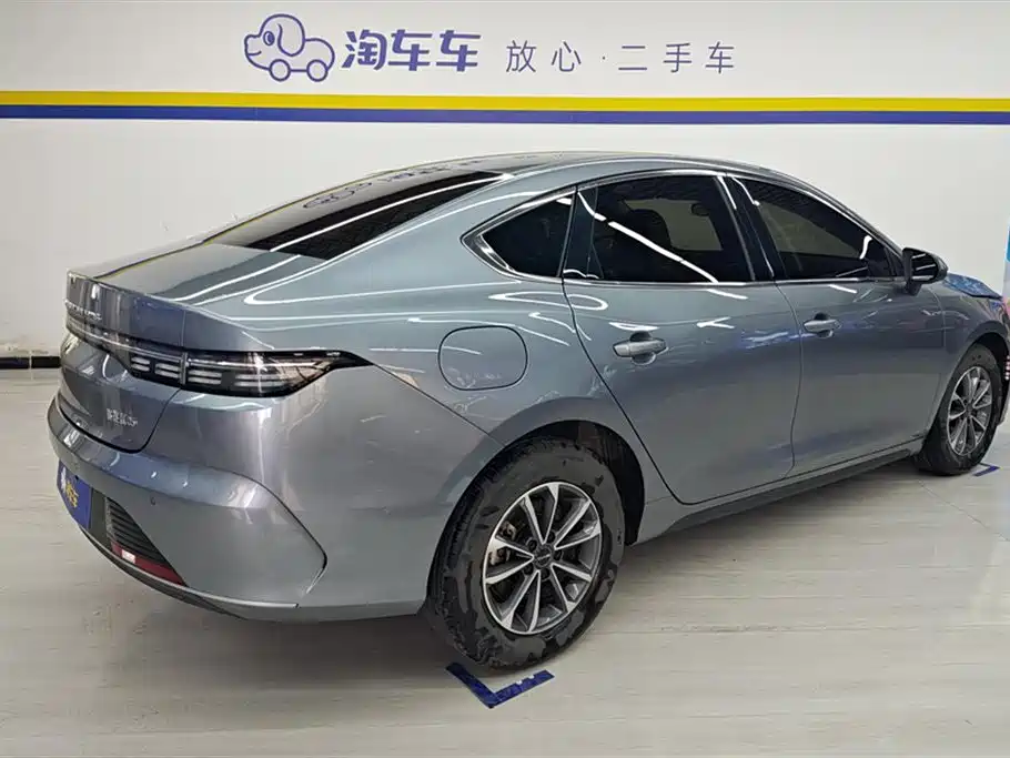BYD Destroyer 05 2024 Glory Edition DM-i 55KM Luxury фото 3