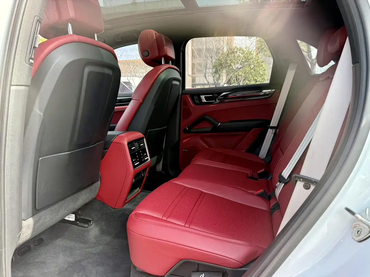 Porsche Cayenne 2023 Cayenne 3.0T Platinum Edition фото 10