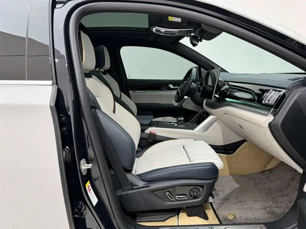 BYD Tang New Energy 2022 DM-p 215KM AWD Flagship фото 19