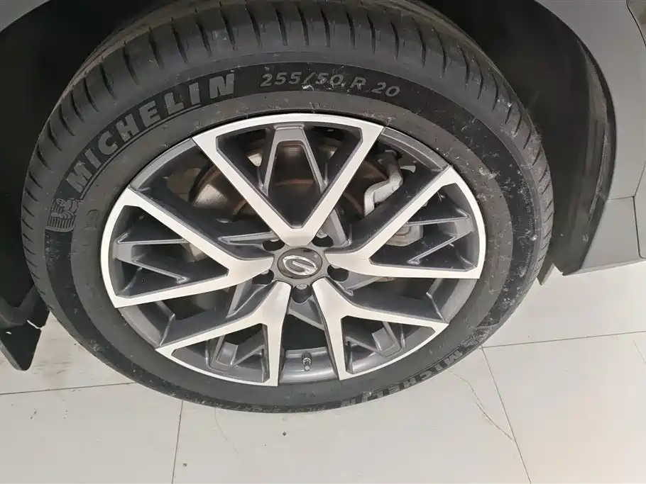GAC Trumpchi Trumpchi GS8 2022 Pilot Series 2.0TGDI 2WD Luxury Smart Connect Edition (7-Seater) фото 6