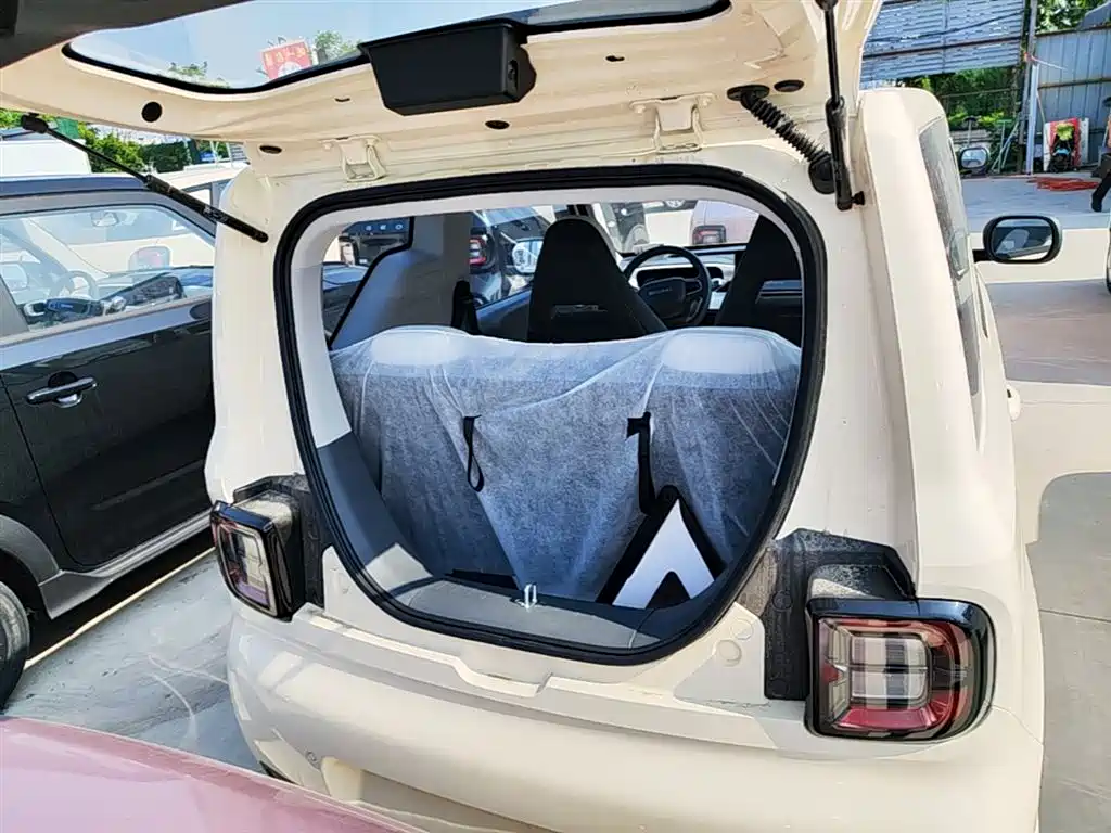 Geely Galaxy Panda 2025 Panda mini 210km Vitality Bear фото 19