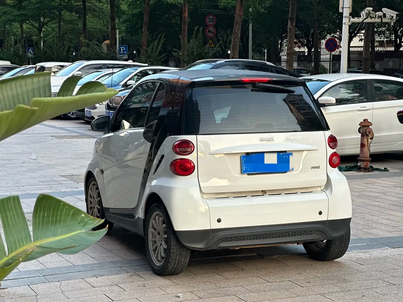 smart fortwo 2013 2012 1.0 MHD Hardtop Standard