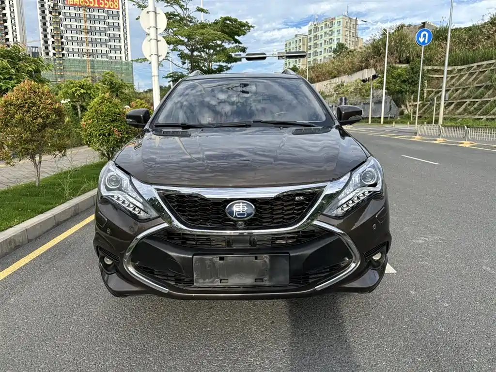 BYD Tang New Energy 2017 2.0T Tang 100 фото 4