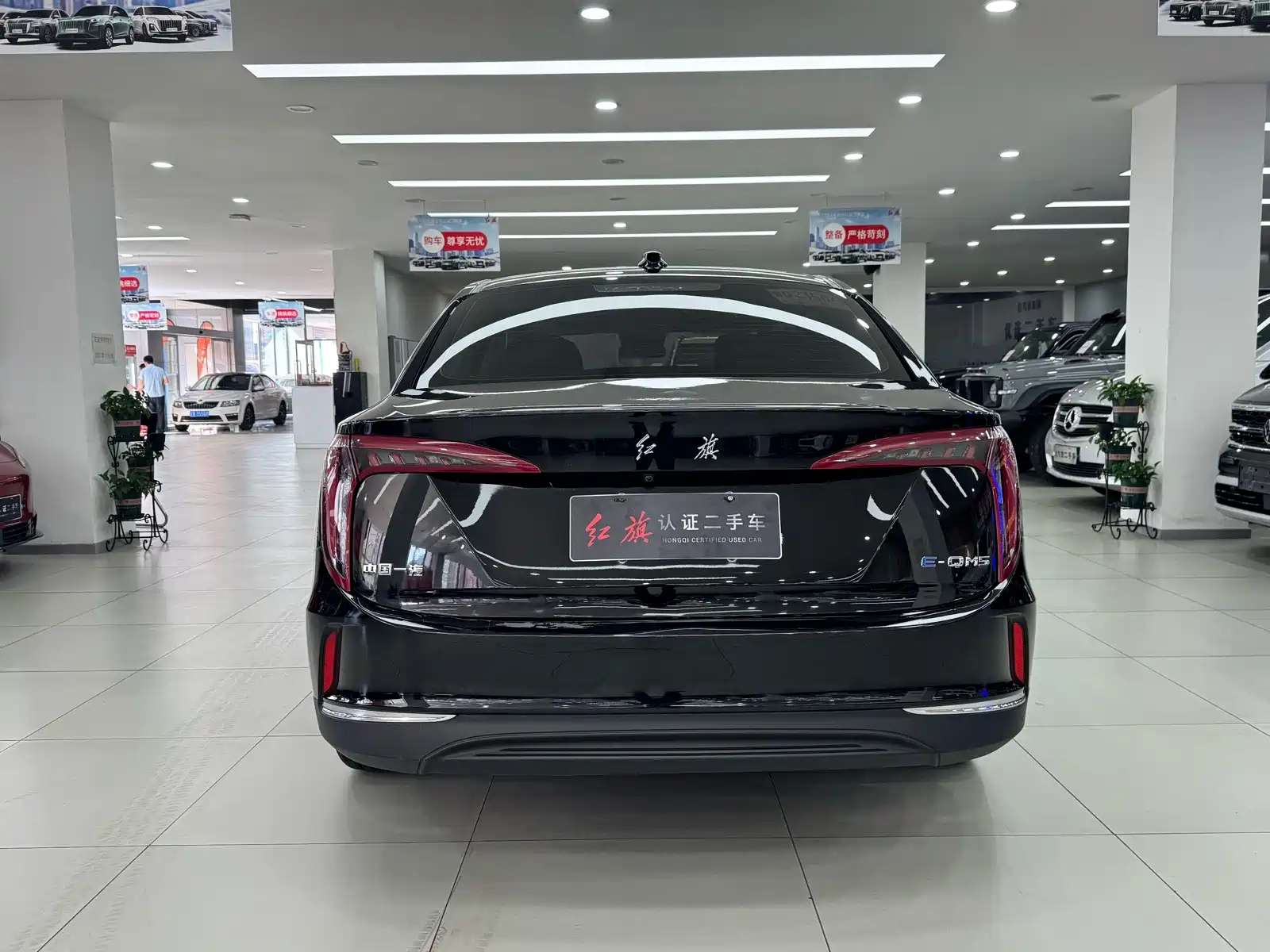 Фото 9 - Hongqi E-QM5