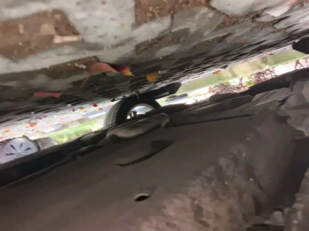 Audi Q3 2016 Model 30 TFSI Style фото 17