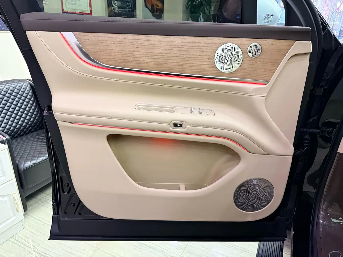 AITO Wenjie AITO M9 2024 Range Extender Ultra 52kWh 6-seater фото 14