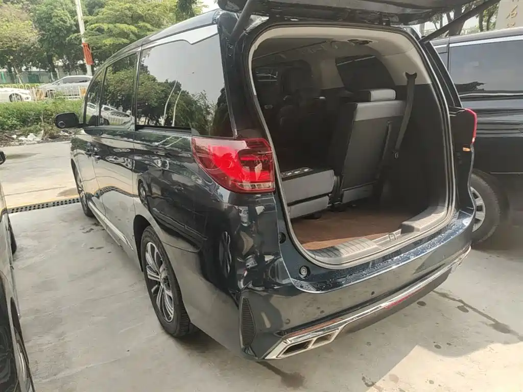 GAC Trumpchi Trumpchi M8 2020 Pilot 390T Prestige Edition фото 5