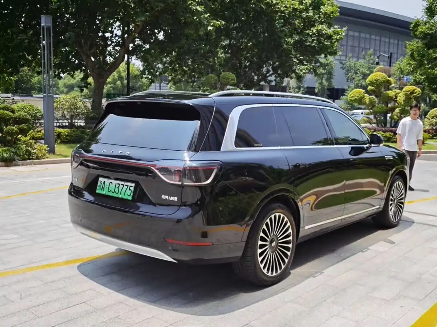 AITO Wenjie AITO M9 2024 Pure Electric Max Edition 100kWh 6-Seater фото 6
