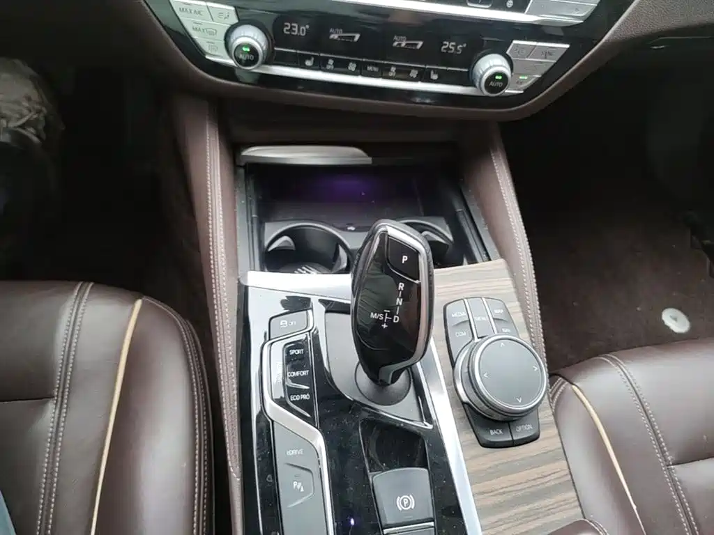BMW 5 Series New Energy 2019 Facelift 530Le Luxury Package фото 14