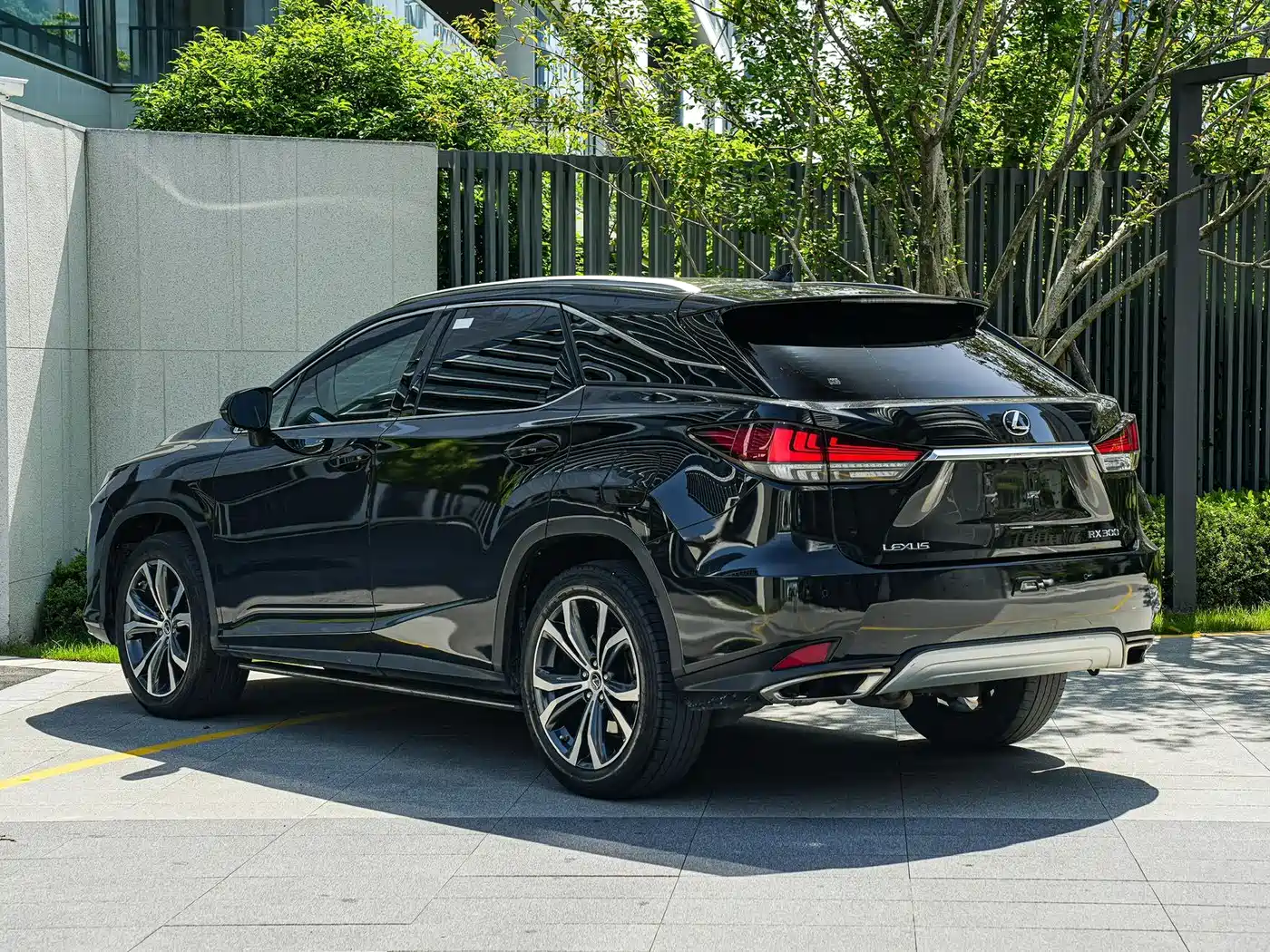Lexus RX 2020 300 4WD Elegance Edition China VI фото 6