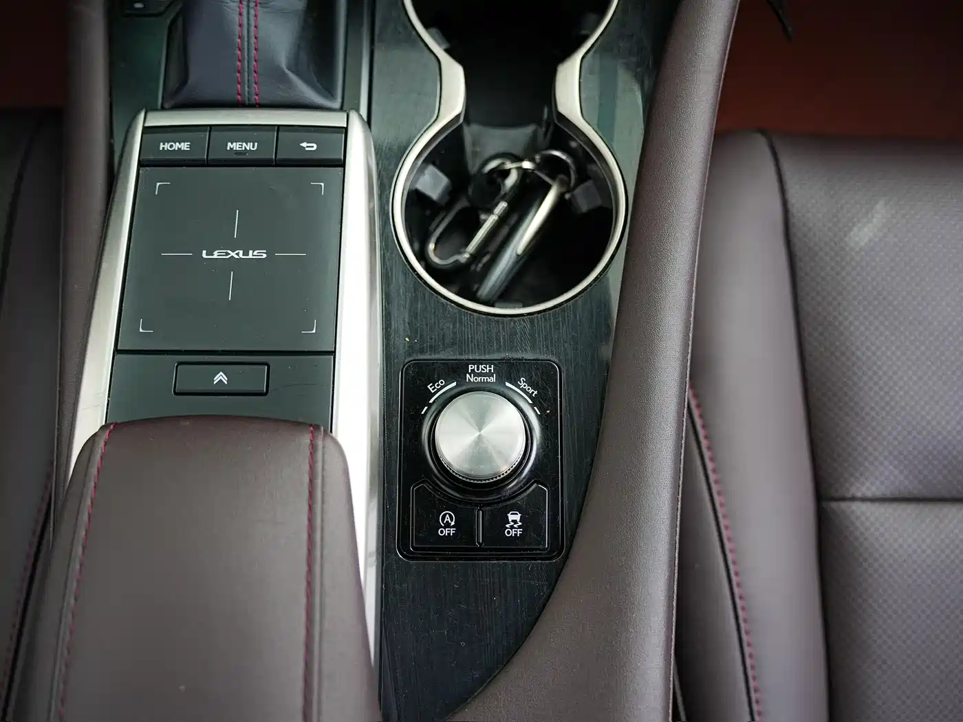 Lexus RX 2020 300 4WD Elegance Edition China VI фото 19