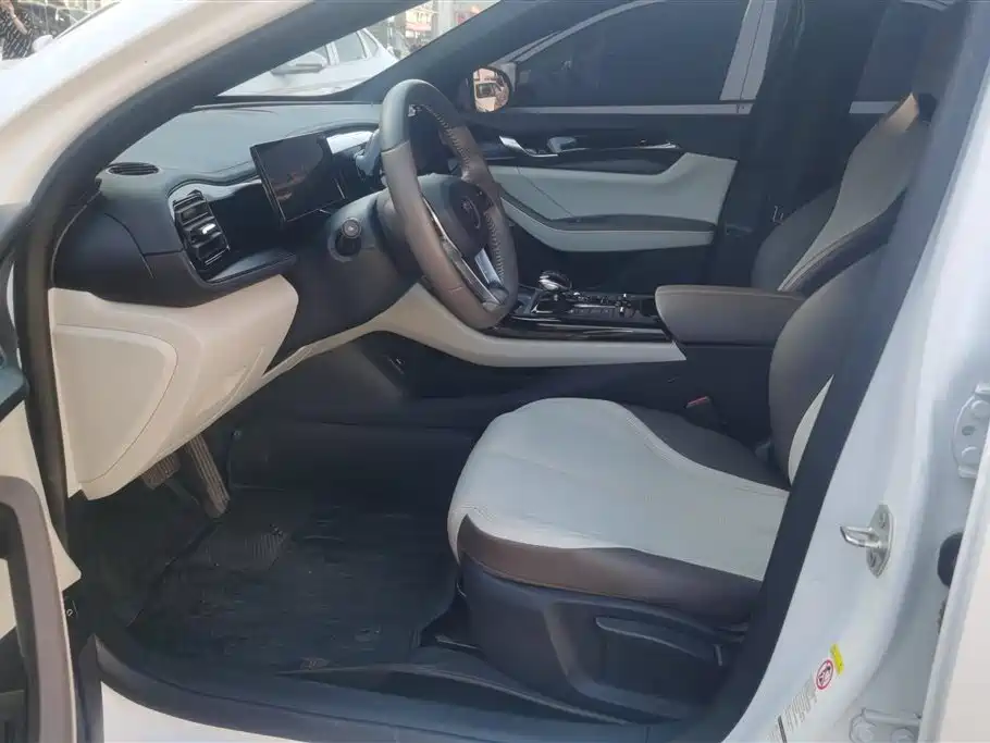 BYD Qin PLUS 2023 Champion Edition DM-i 55KM Leading фото 9