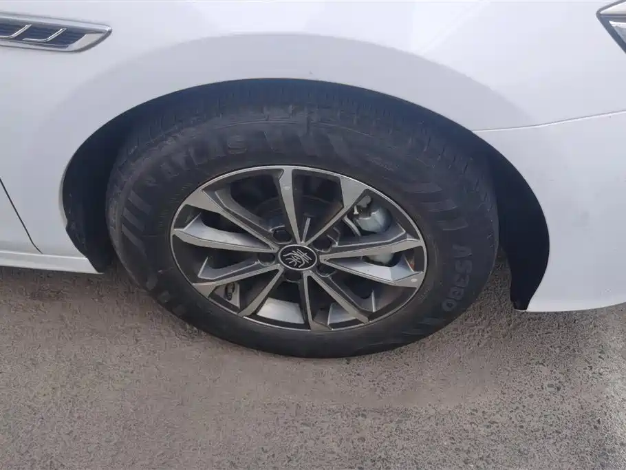 BYD Qin PLUS 2023 Champion Edition DM-i 55KM Leading фото 6