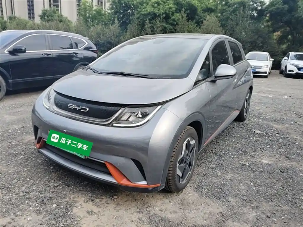 BYD Dolphin 2021 Model 405km Fashion Edition фото 2