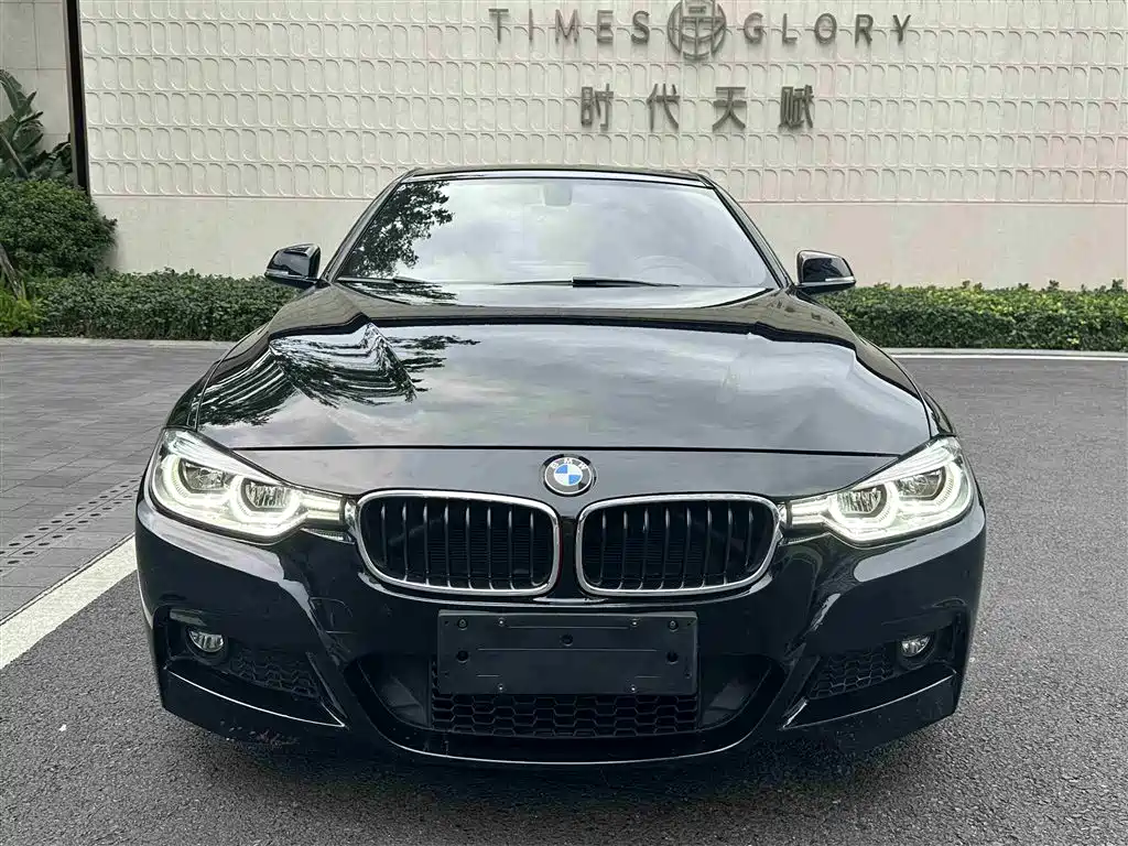 BMW 3 Series 2017 320i M Sport фото 2