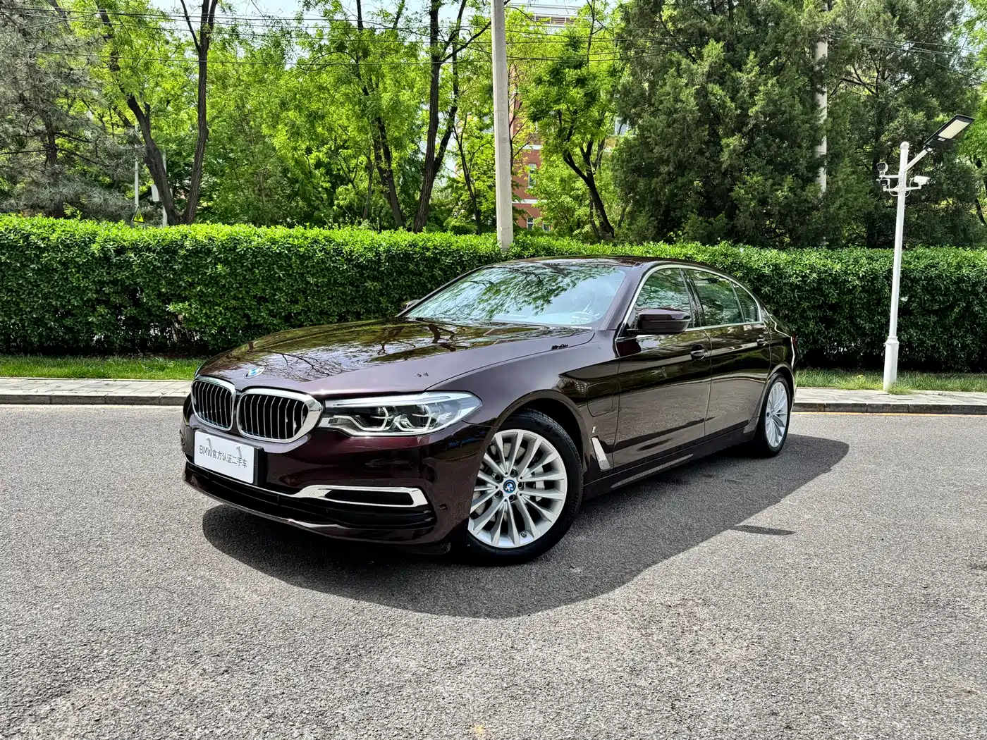 BMW 5 Series New Energy 2019 Facelift 530Le Luxury Package