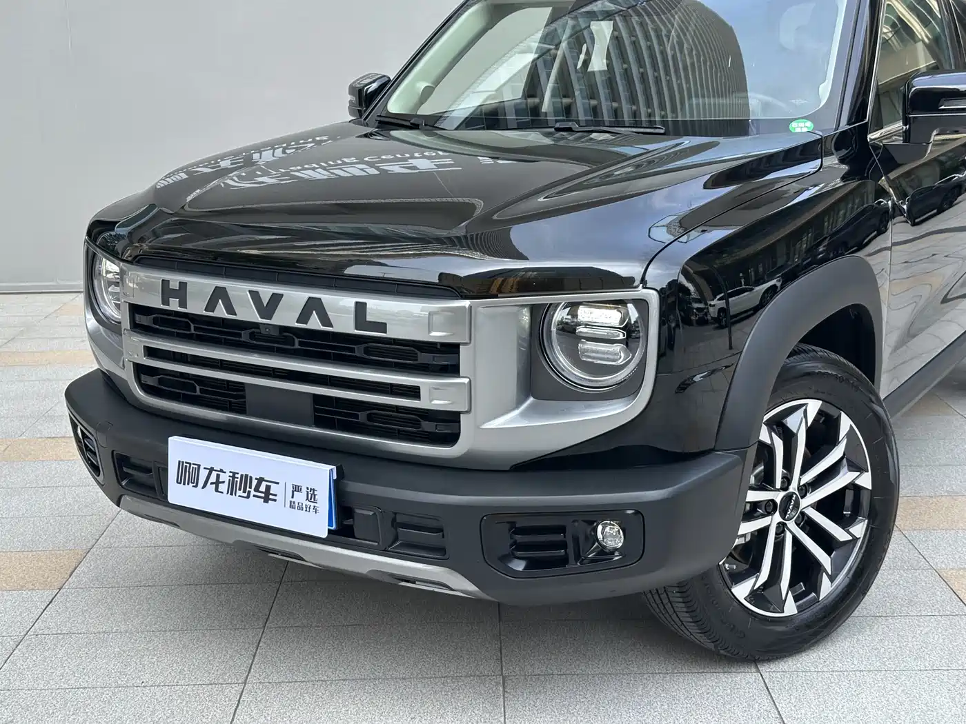 HAVAL BIG DOG