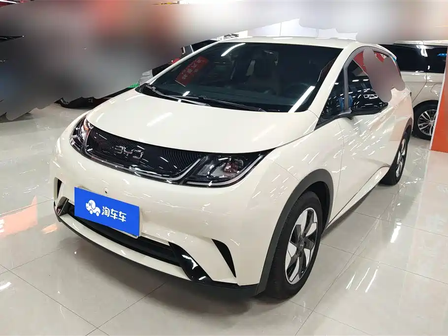 BYD Dolphin 2025 420km Freedom Edition