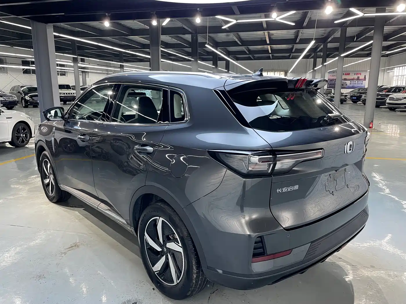 Changan Qiyuan Q05 2024 2024 Deluxe Edition 125 Surpass CALB