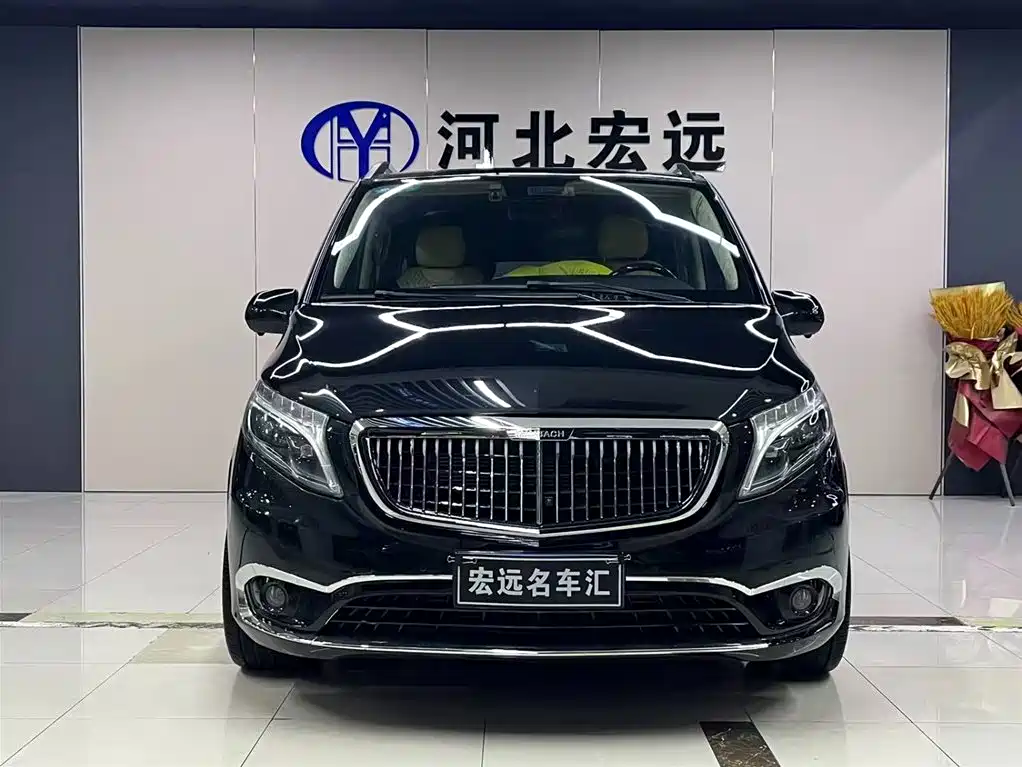 Mercedes-Benz Vito 2018 2.0T Business Edition China VI фото 2