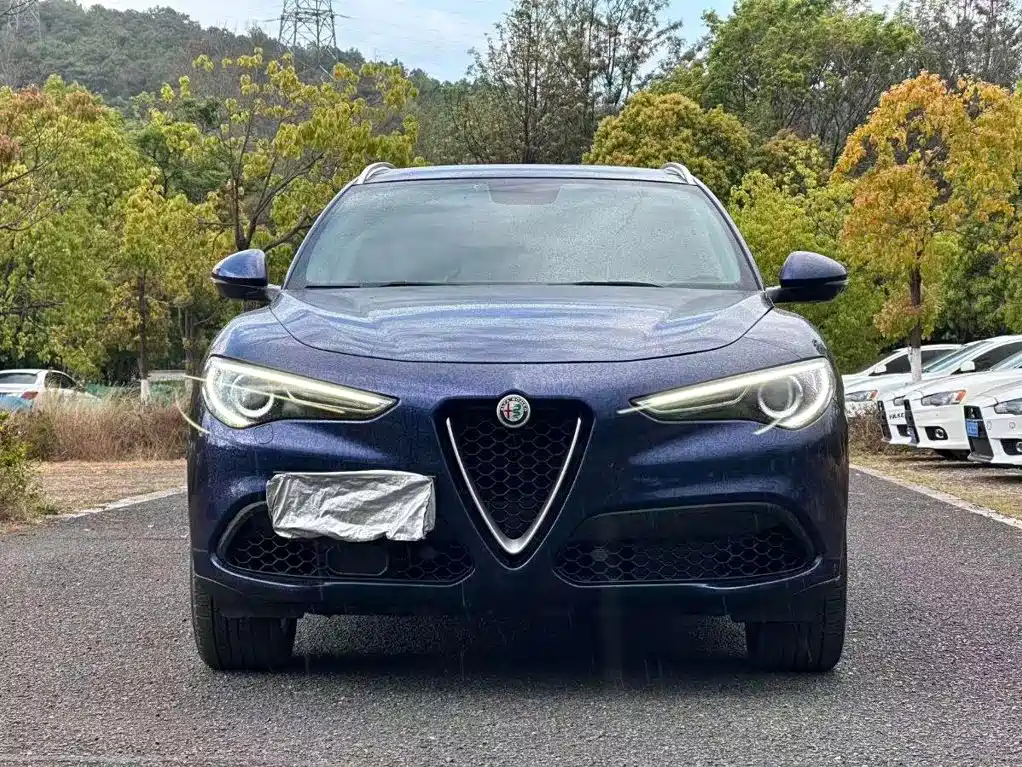 Alfa Romeo Stelvio 2018 2017 2.0T 200HP Luxury Edition
