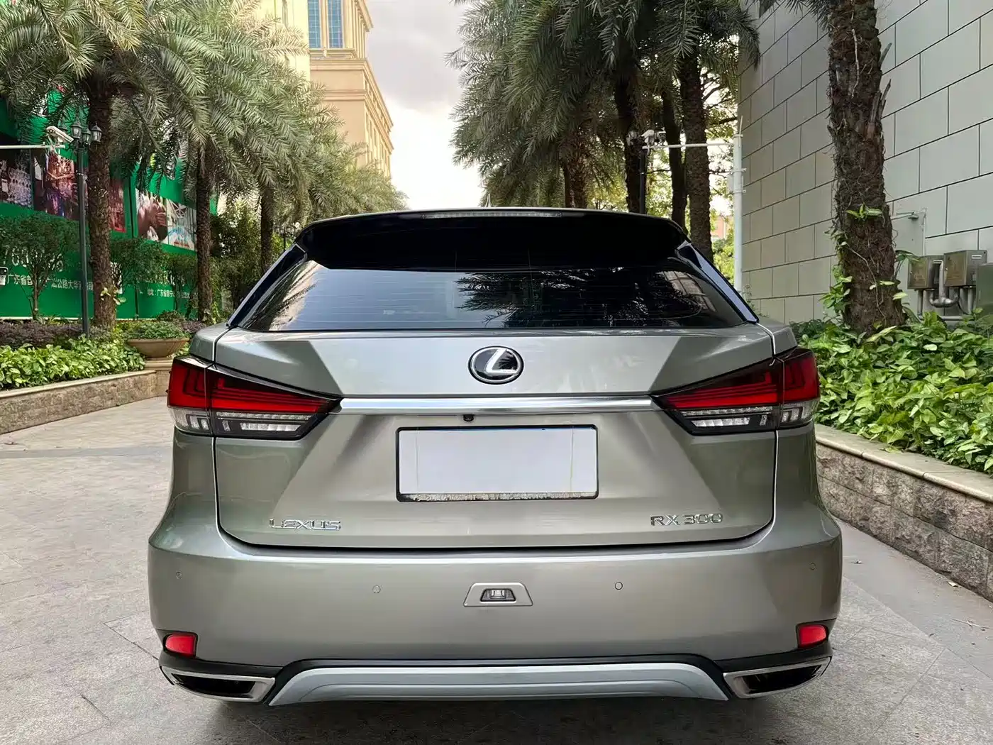 LEXUS RX