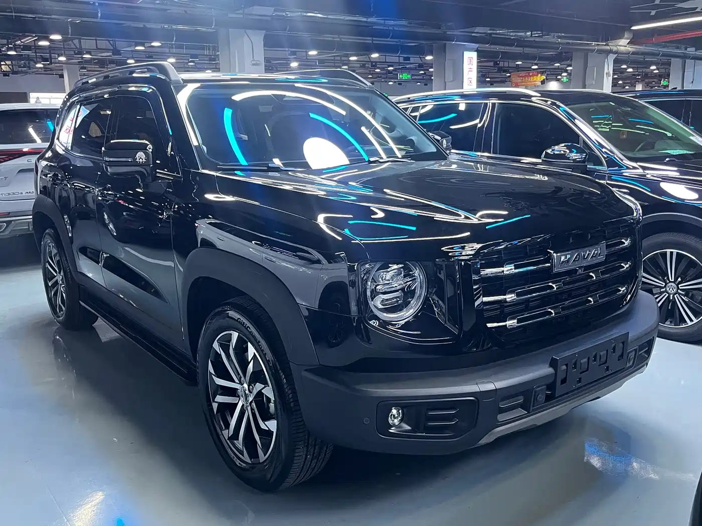 HAVAL BIG DOG
